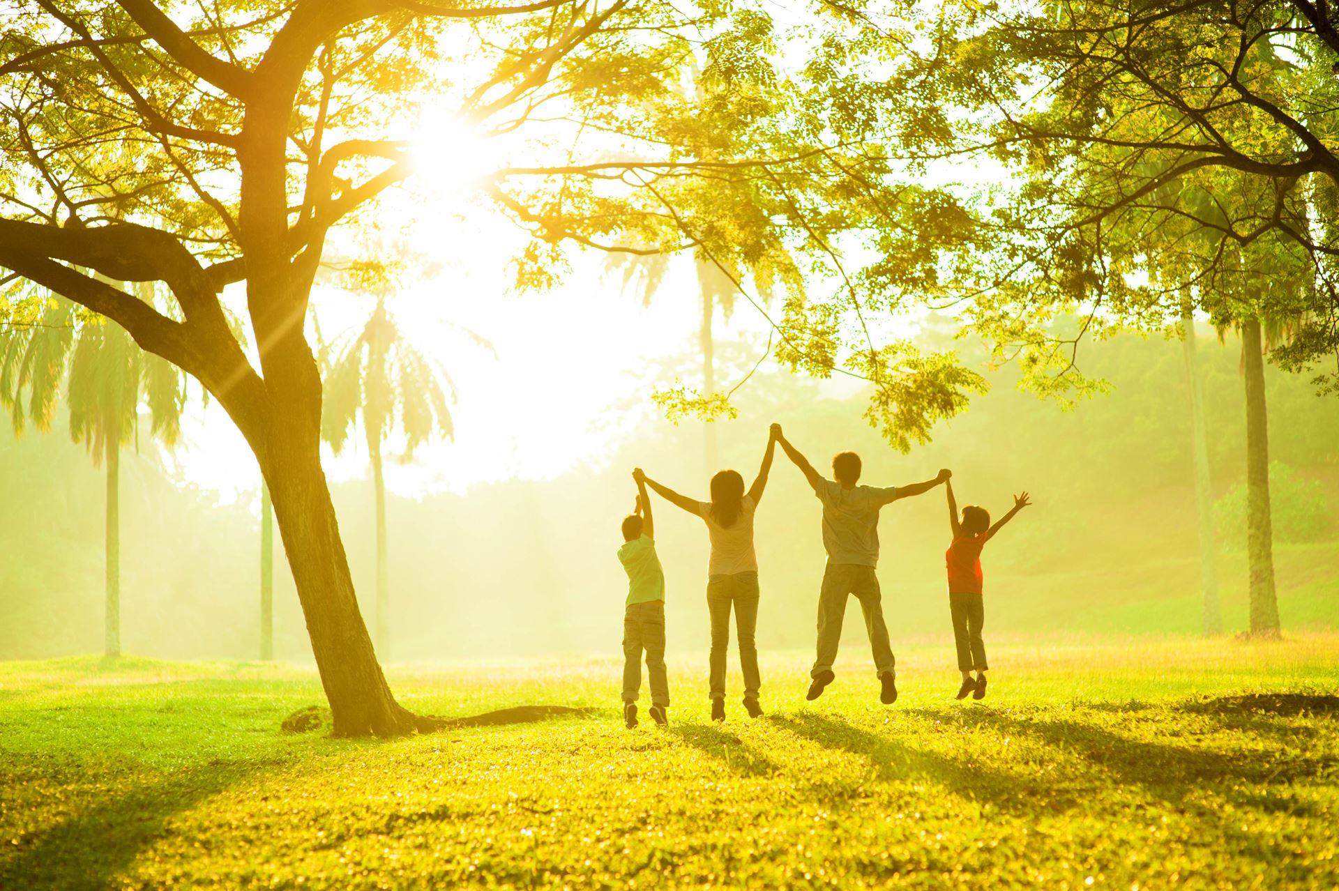 Insecticides and repellency